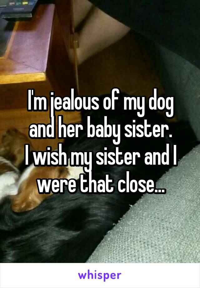 I'm jealous of my dog and her baby sister.
I wish my sister and I were that close...