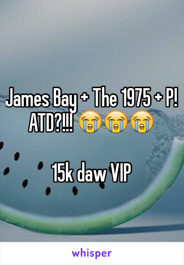 James Bay + The 1975 + P!ATD?!!! 😭😭😭

15k daw VIP 