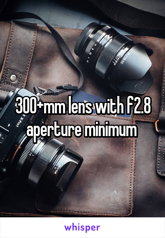 300+mm lens with f2.8 aperture minimum 