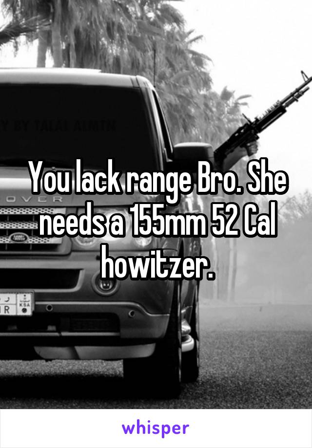 You lack range Bro. She needs a 155mm 52 Cal howitzer.