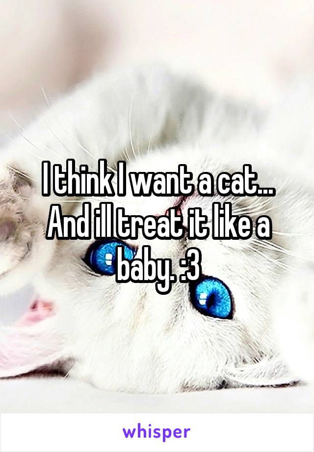 I think I want a cat... And ill treat it like a baby. :3