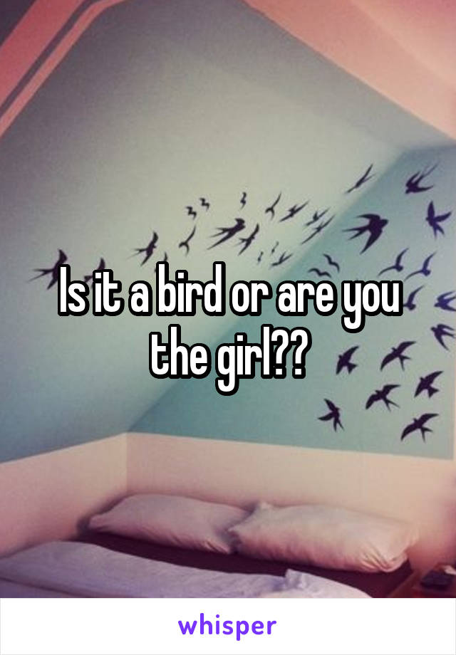 Is it a bird or are you the girl??