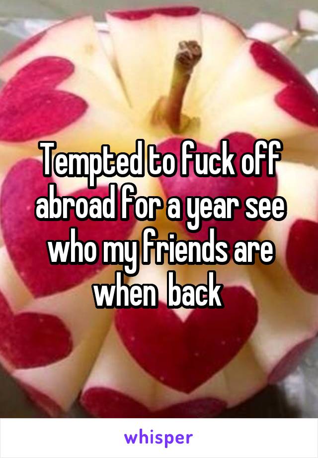 Tempted to fuck off abroad for a year see who my friends are when  back 