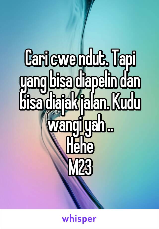 Cari cwe ndut. Tapi yang bisa diapelin dan bisa diajak jalan. Kudu wangi yah ..
Hehe
M23