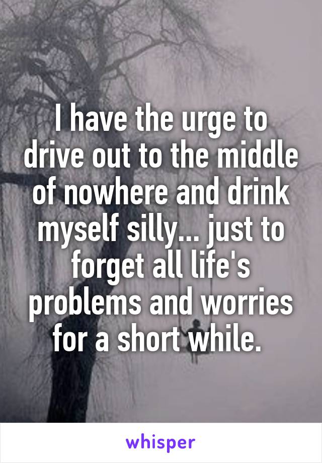 I have the urge to drive out to the middle of nowhere and drink myself silly... just to forget all life's problems and worries for a short while. 