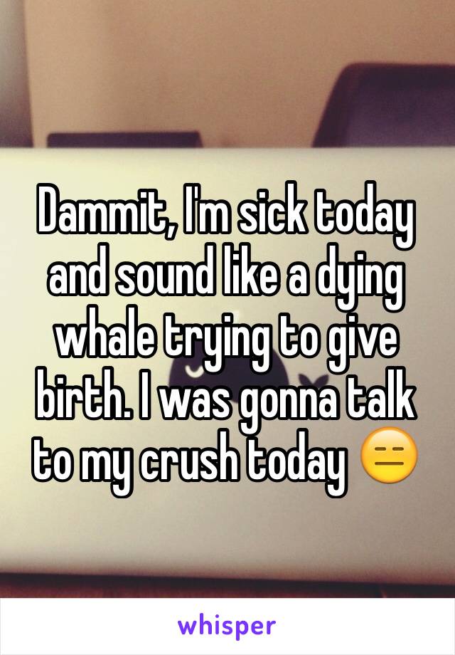 Dammit, I'm sick today and sound like a dying whale trying to give birth. I was gonna talk to my crush today 😑