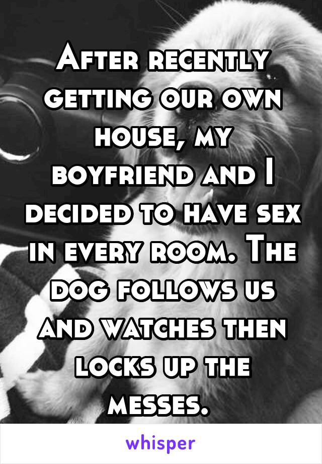 After recently getting our own house, my boyfriend and I decided to have sex in every room. The dog follows us and watches then locks up the messes. 