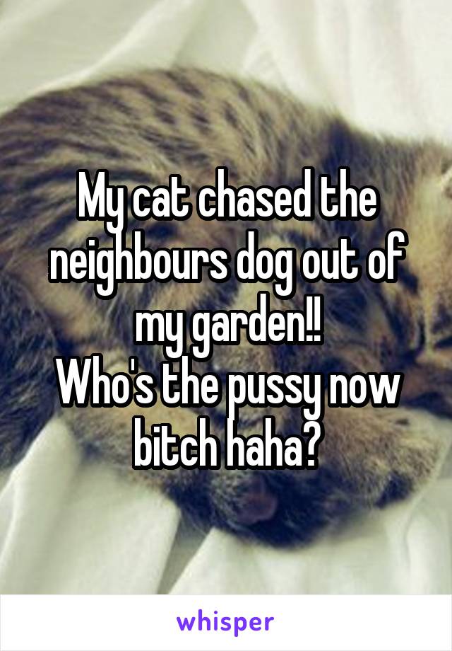 My cat chased the neighbours dog out of my garden!!
Who's the pussy now bitch haha😛