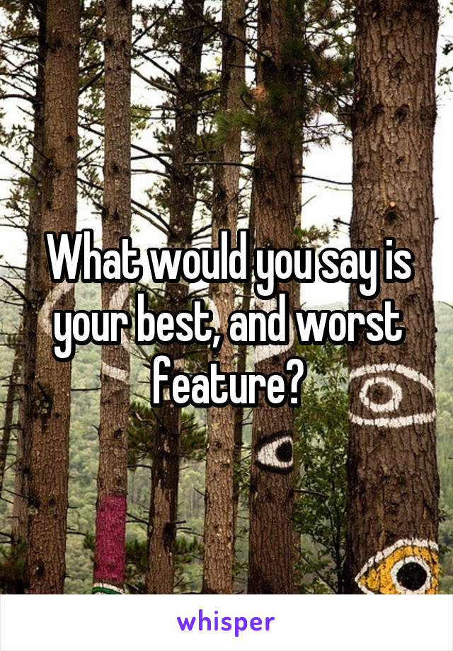 What would you say is your best, and worst feature?