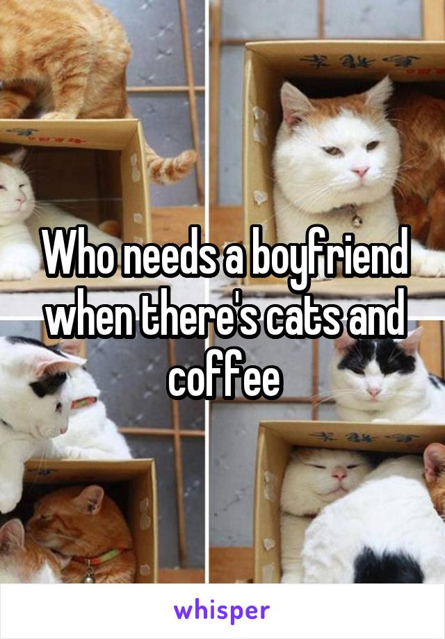 Who needs a boyfriend when there's cats and coffee