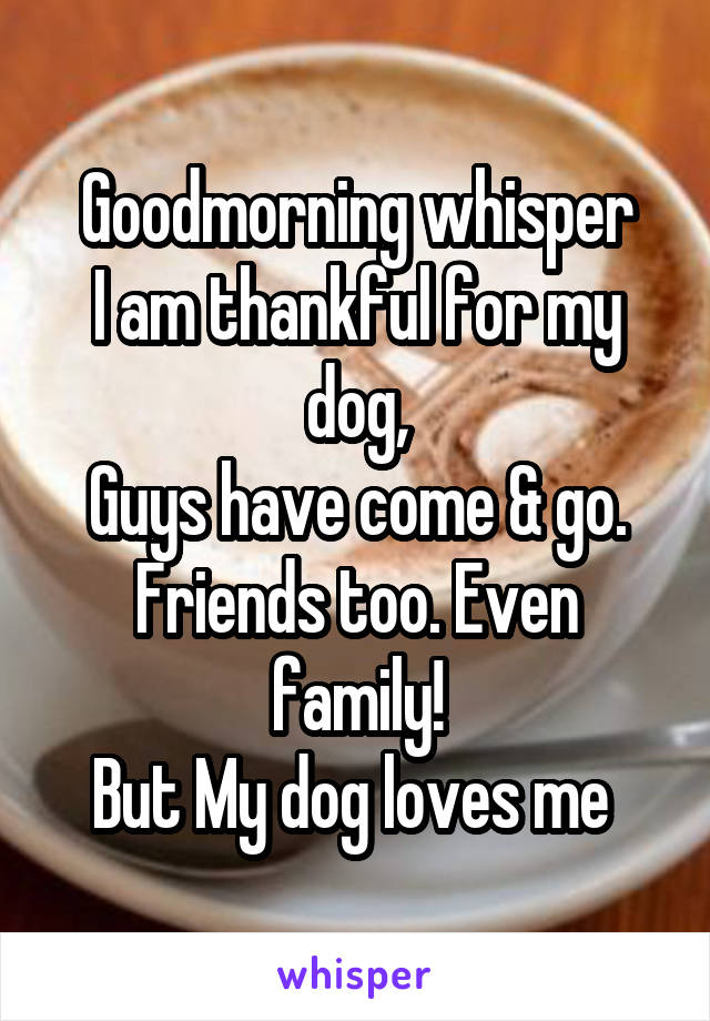 Goodmorning whisper
I am thankful for my dog,
Guys have come & go. Friends too. Even family!
But My dog loves me 