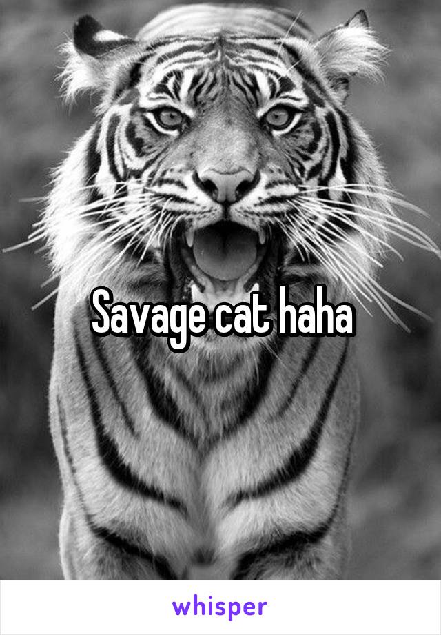 Savage cat haha