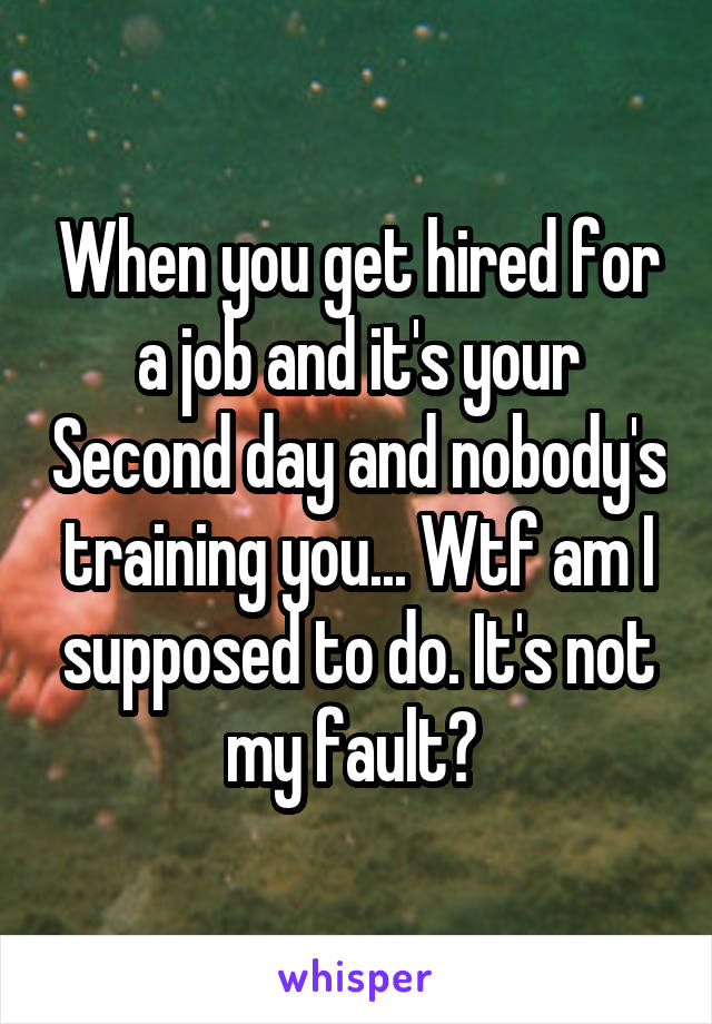 When you get hired for a job and it's your Second day and nobody's training you... Wtf am I supposed to do. It's not my fault? 