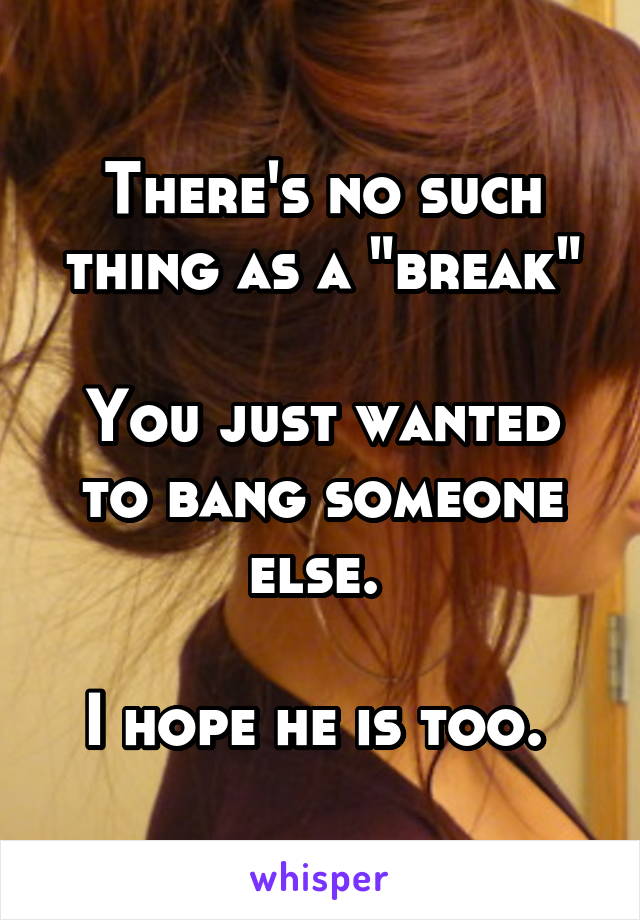 There's no such thing as a "break"

You just wanted to bang someone else. 

I hope he is too. 