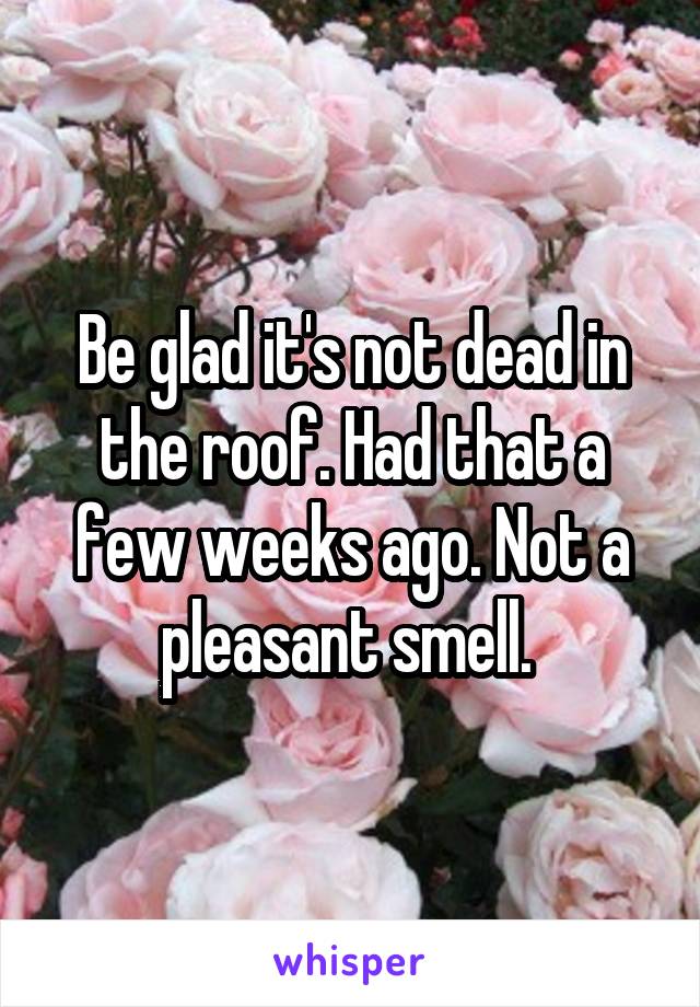 Be glad it's not dead in the roof. Had that a few weeks ago. Not a pleasant smell. 