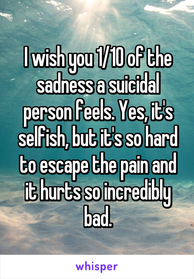 I wish you 1/10 of the sadness a suicidal person feels. Yes, it's selfish, but it's so hard to escape the pain and it hurts so incredibly bad.