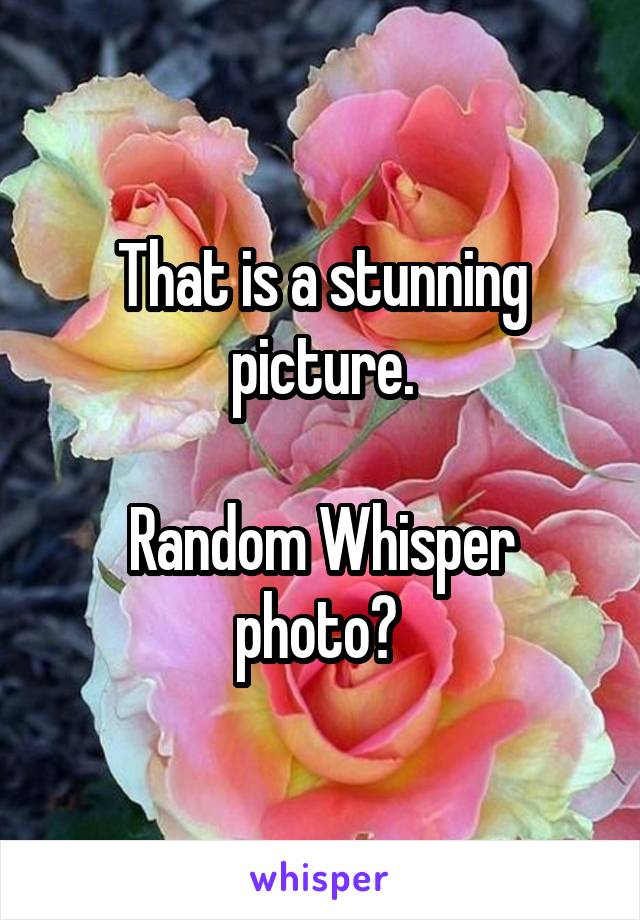 That is a stunning picture.

Random Whisper photo? 