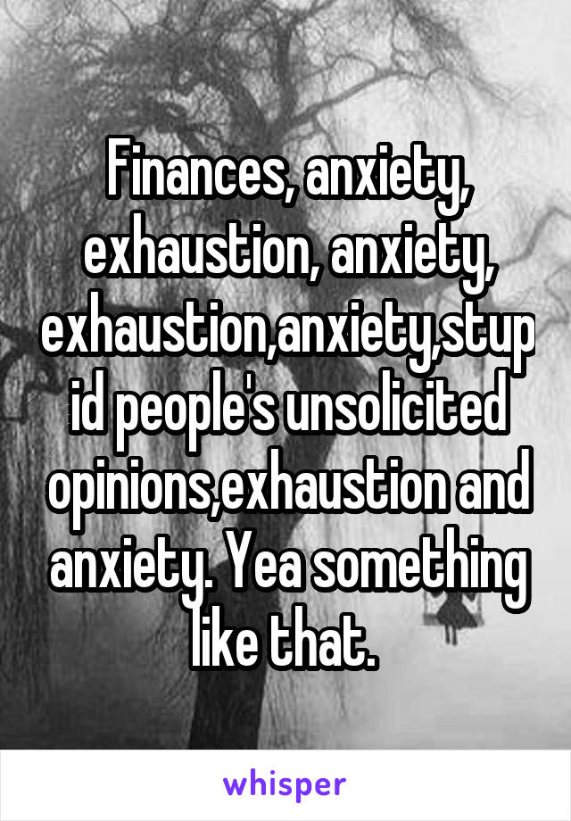 Finances, anxiety, exhaustion, anxiety, exhaustion,anxiety,stupid people's unsolicited opinions,exhaustion and anxiety. Yea something like that. 