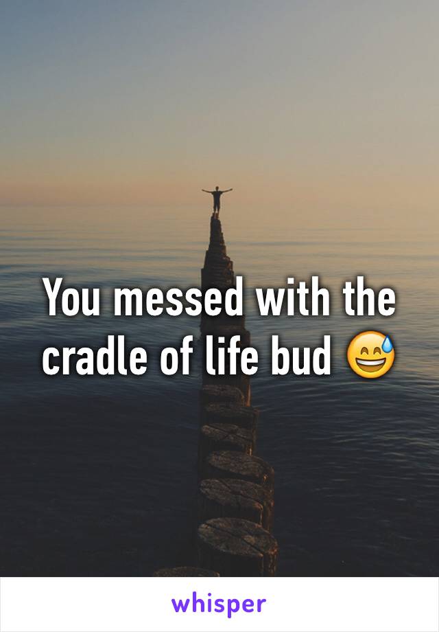 You messed with the cradle of life bud 😅