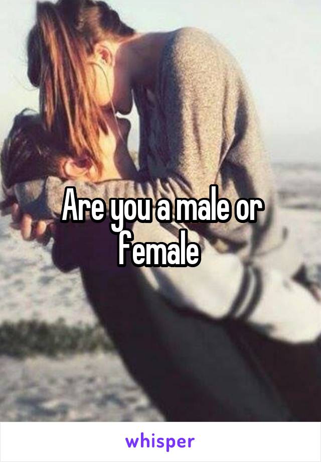 Are you a male or female 
