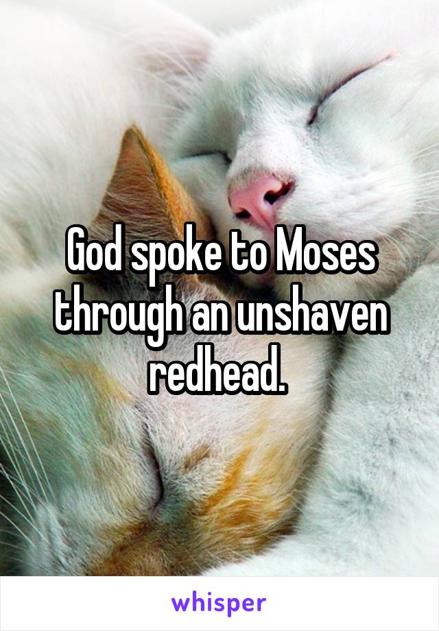 God spoke to Moses through an unshaven redhead. 