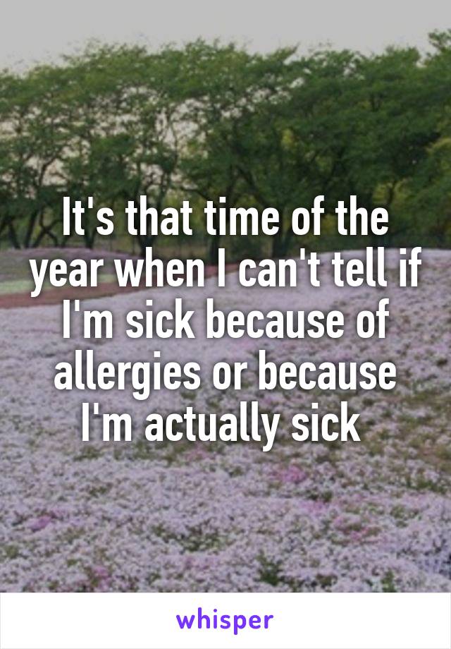 It's that time of the year when I can't tell if I'm sick because of allergies or because I'm actually sick 