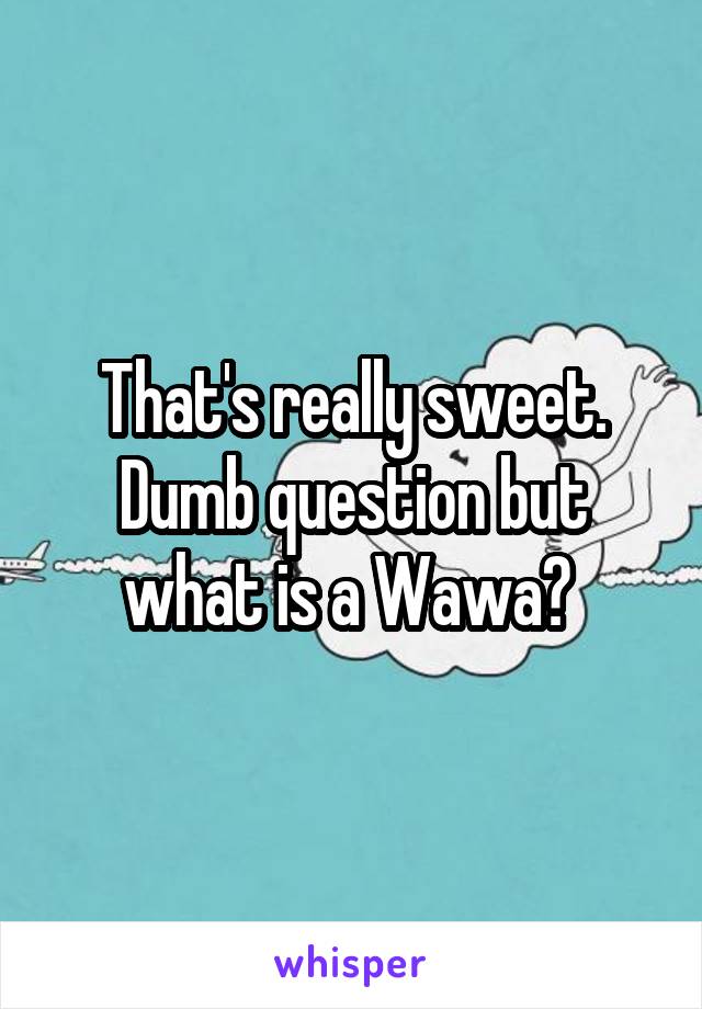 That's really sweet. Dumb question but what is a Wawa? 