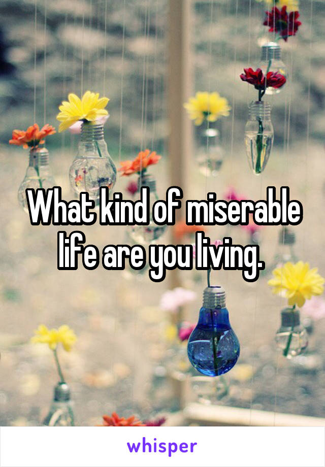 What kind of miserable life are you living. 