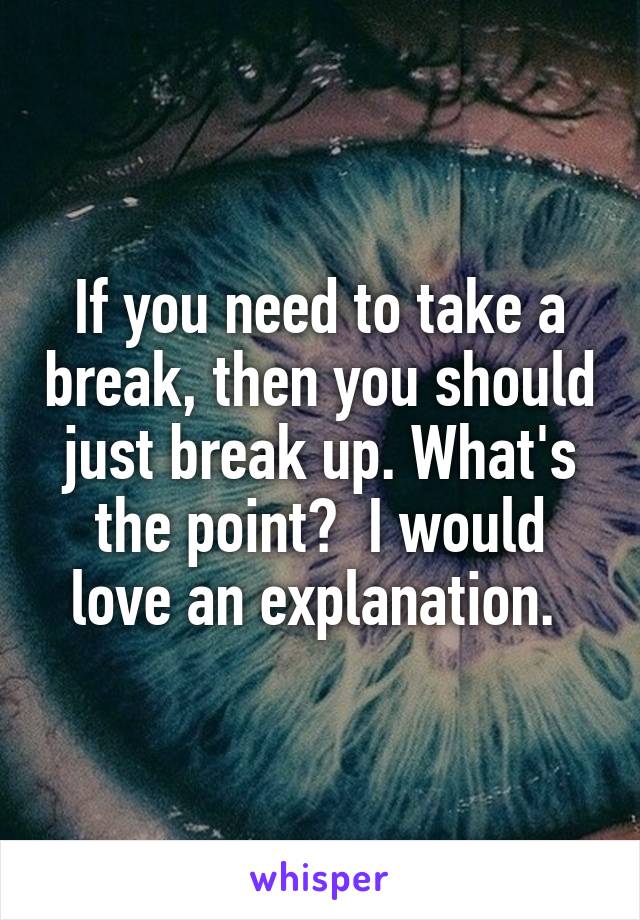 If you need to take a break, then you should just break up. What's the point?  I would love an explanation. 