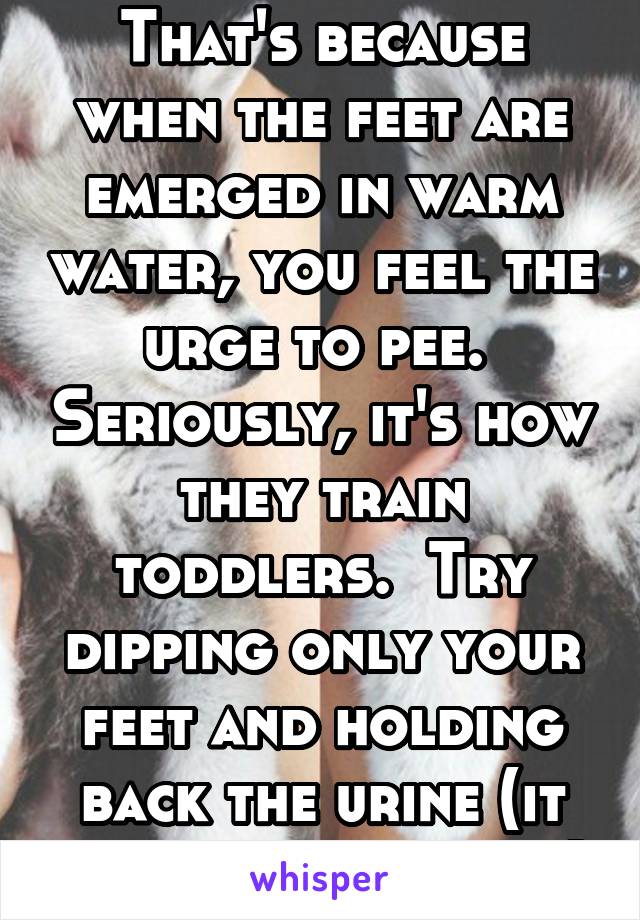 That's because when the feet are emerged in warm water, you feel the urge to pee.  Seriously, it's how they train toddlers.  Try dipping only your feet and holding back the urine (it won't work empty)