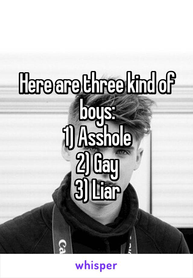 Here are three kind of boys:
1) Asshole
2) Gay
3) Liar