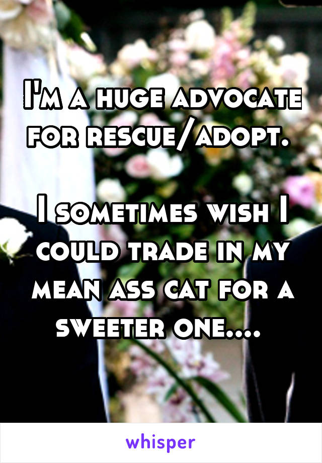 I'm a huge advocate for rescue/adopt. 

I sometimes wish I could trade in my mean ass cat for a sweeter one.... 
