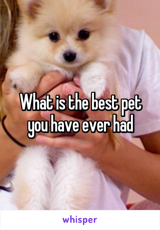 What is the best pet you have ever had