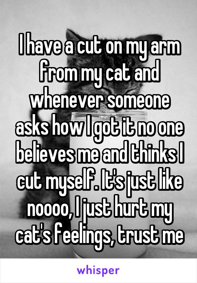 I have a cut on my arm from my cat and whenever someone asks how I got it no one believes me and thinks I cut myself. It's just like noooo, I just hurt my cat's feelings, trust me