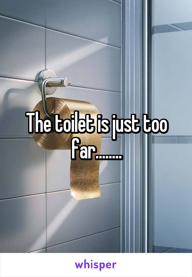 The toilet is just too far........