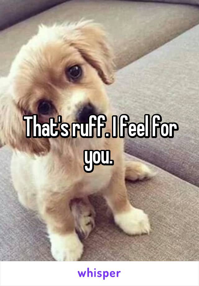 That's ruff. I feel for you. 