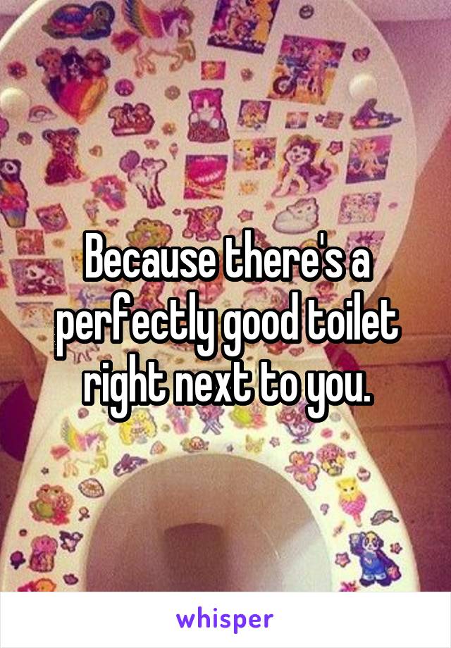 Because there's a perfectly good toilet right next to you.