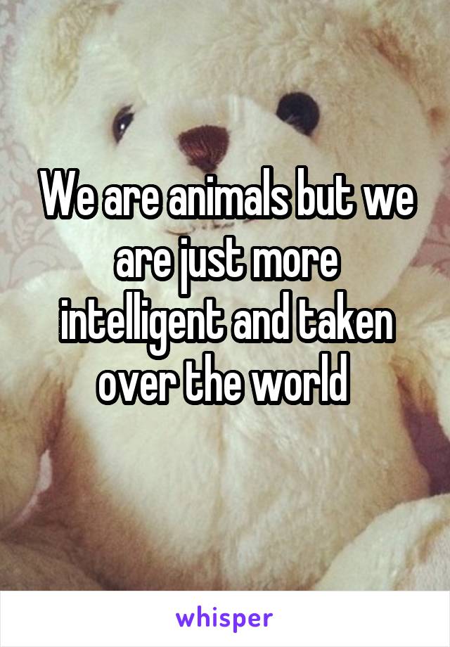 We are animals but we are just more intelligent and taken over the world 
