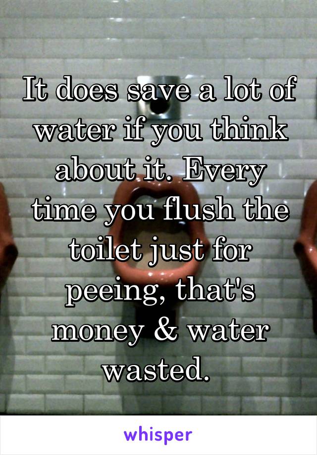 It does save a lot of water if you think about it. Every time you flush the toilet just for peeing, that's money & water wasted. 