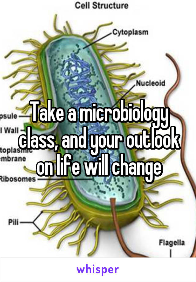 Take a microbiology class, and your outlook on life will change