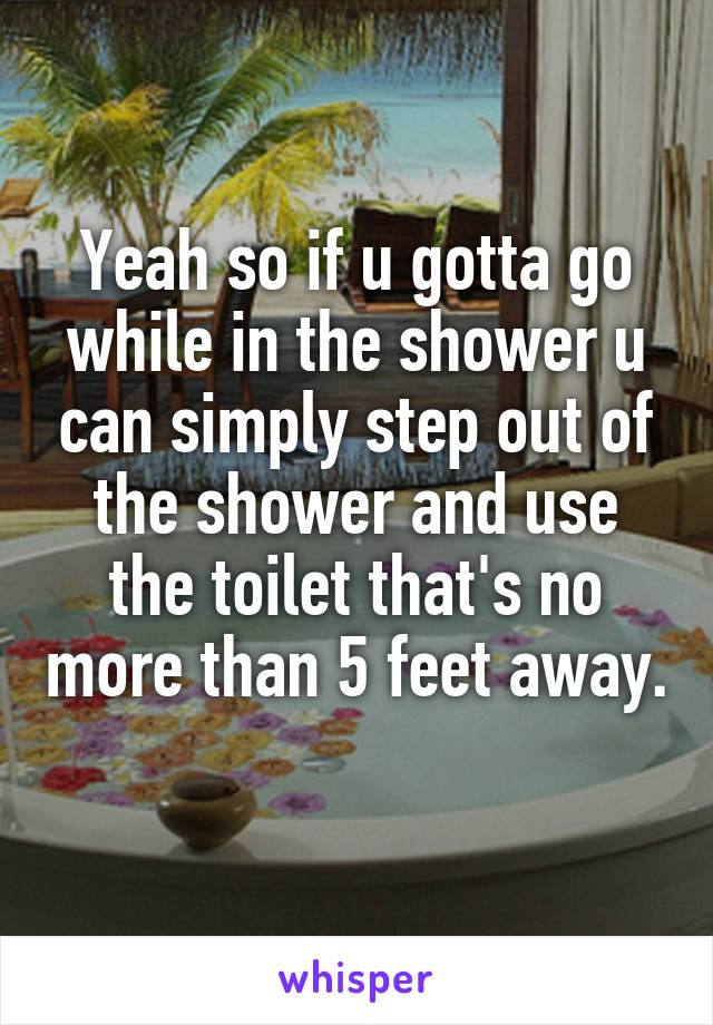 Yeah so if u gotta go while in the shower u can simply step out of the shower and use the toilet that's no more than 5 feet away. 