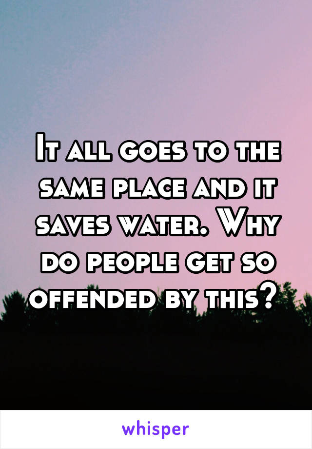 It all goes to the same place and it saves water. Why do people get so offended by this? 