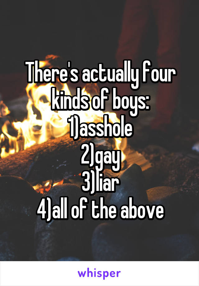 There's actually four kinds of boys:
1)asshole
2)gay
3)liar
4)all of the above