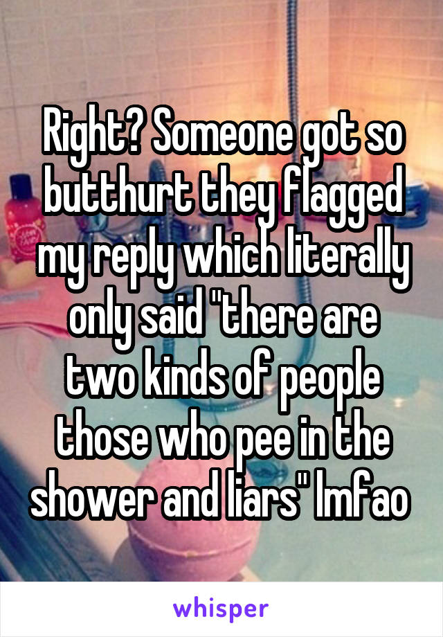 Right? Someone got so butthurt they flagged my reply which literally only said "there are two kinds of people those who pee in the shower and liars" lmfao 