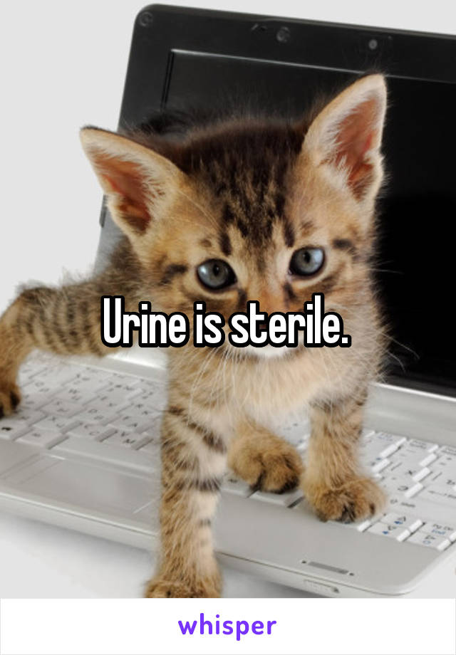 Urine is sterile. 