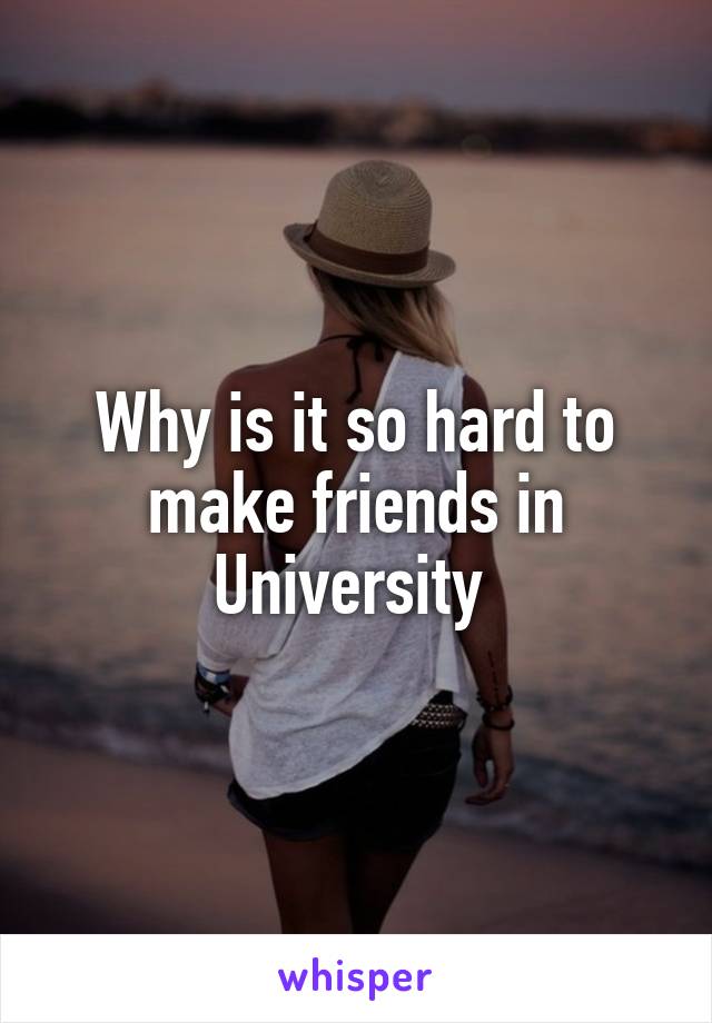 Why is it so hard to make friends in University 