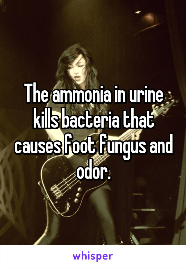 The ammonia in urine kills bacteria that causes foot fungus and odor.