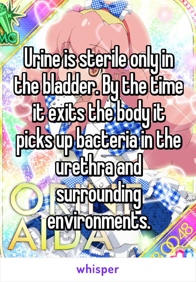 Urine is sterile only in the bladder. By the time it exits the body it picks up bacteria in the urethra and surrounding environments.