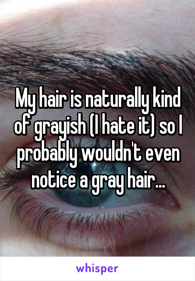 My hair is naturally kind of grayish (I hate it) so I probably wouldn't even notice a gray hair...