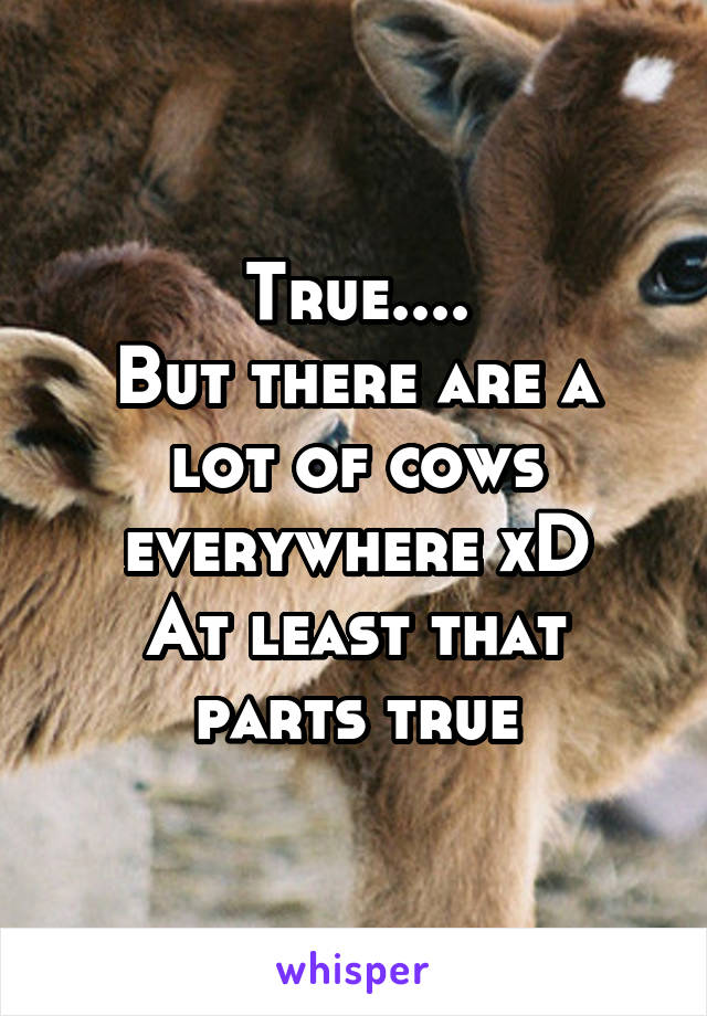 True....
But there are a lot of cows everywhere xD
At least that parts true